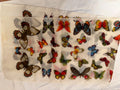 Butterfly Scarf Absolutely Beautiful 43 inches long by 12.25 wide Perfect Condition